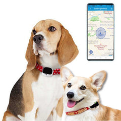 RF-V43 A Style IP67 Waterproof GPS + LBS + WiFi Pet Locator Pet Collar Tracking Device For Asia/Europe/Africa/Australia, RF-V43 A Style (White), RF-V43 A Style (Black)